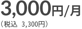 3000円/月（税込 3,300円）